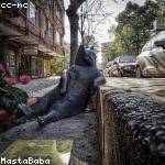 Casandra Daugherty Profile Picture